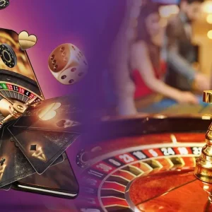 Cách điều trị gà đá bị gãy cánh